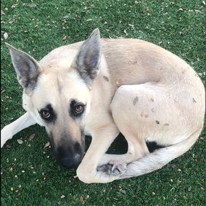 Meet your Posher, Kaylee